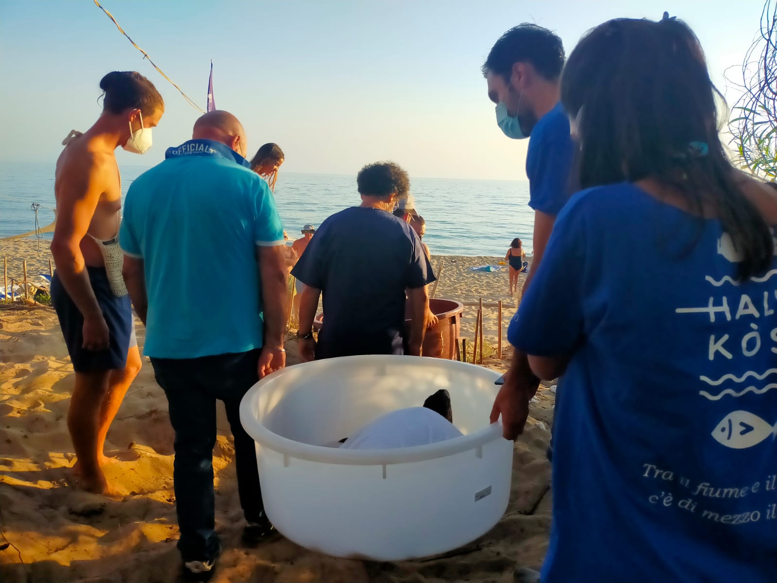 La Sicilia Isola Delle Tartarughe Marine Lultima Liberazione Di