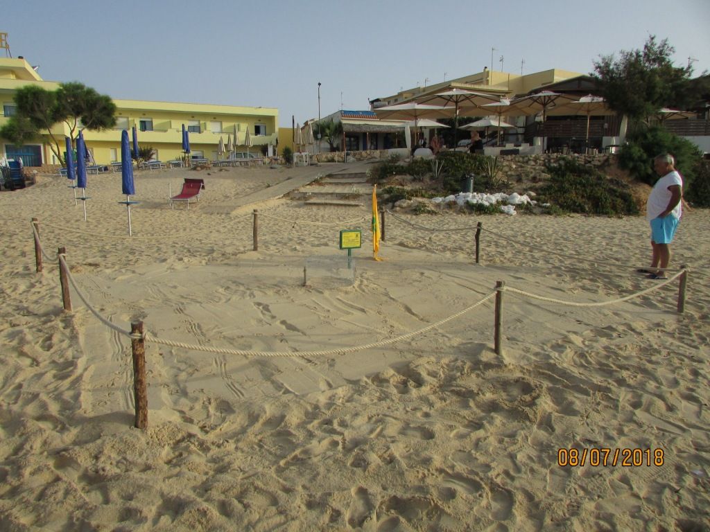 Lampedusa Nidificazione Tartaruga Marina In Spiaggia